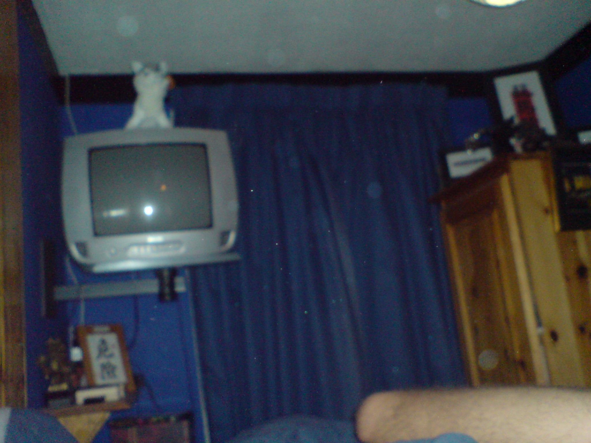 l1.jpg